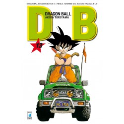 Dragon Ball Evergreen vol. 13